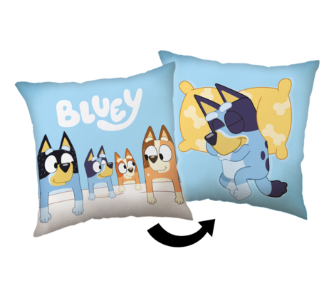 Bluey 02 cushionn image 1
