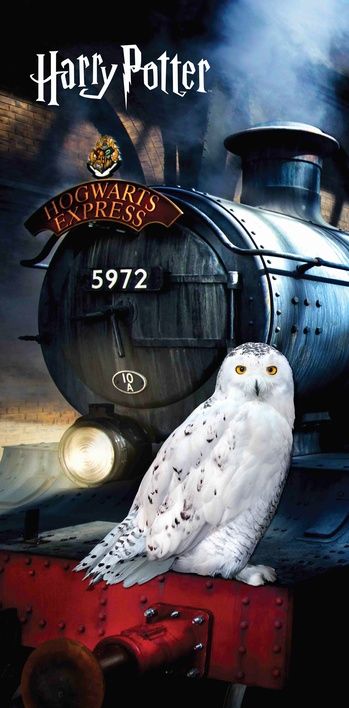 Harry Potter "Hedwig" beach towel image 1