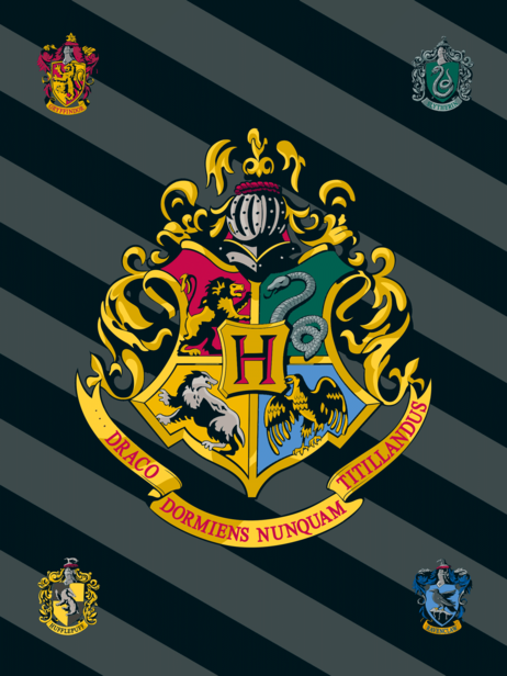 Harry Potter "HP067"  fleece blanket image 1