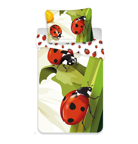 Ladybugs image 1