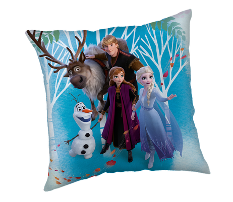 Frozen 02 "Family" cushion image 1