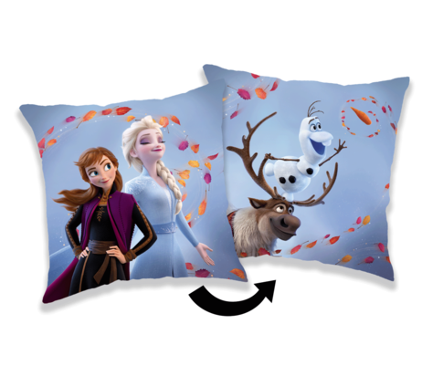 Frozen 2 "Wind 02" cushion image 1