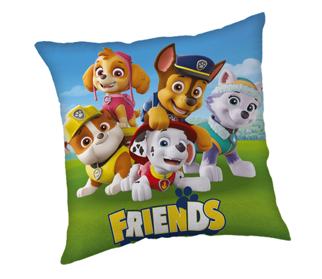 Paw Patrol Friends cushion image 1