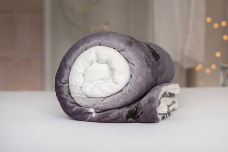 Microflanel blanket with sherpa Dandelion grey image 1