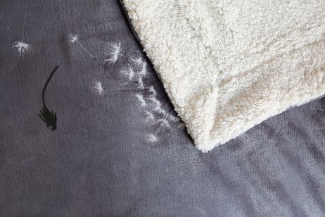 Microflanel blanket with sherpa Dandelion grey image 2