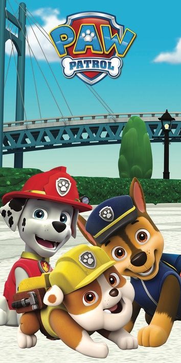 Paw Patrol  "PP060" beach towel image 1