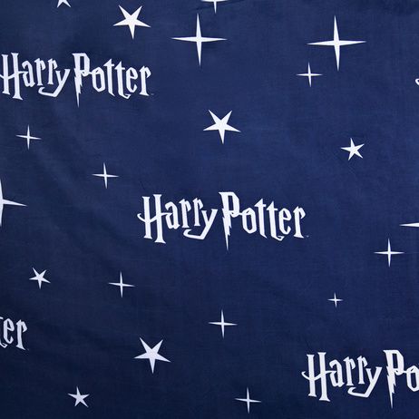 Harry Potter "Hogwarts Night" image 5
