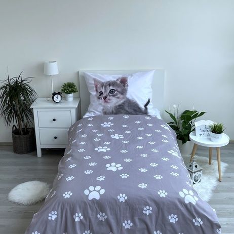 Kitten "Grey" image 3