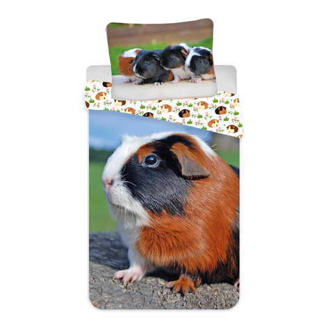 Guinea-pig "02" image 1