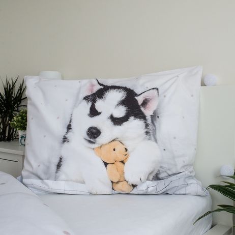 Husky image 4