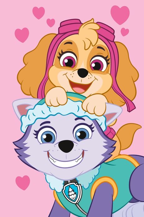 Paw Patrol "PP518" fleece blanket image 1