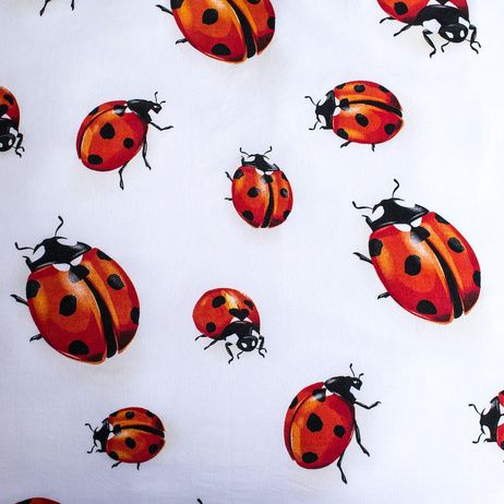 Ladybugs image 5