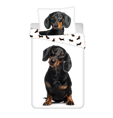 Dachshund image 1