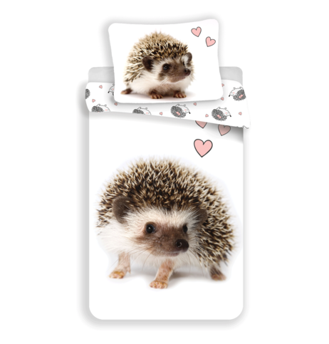 Hedgehog image 1