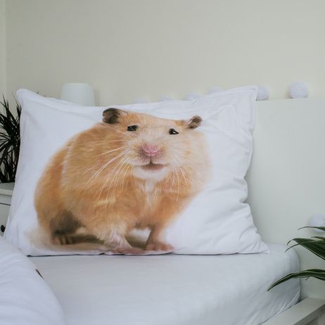 Hamster image 4
