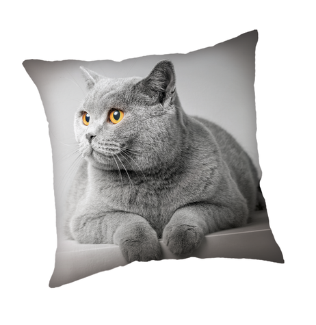 Grey Cat povlak na polštářek obrázek 1