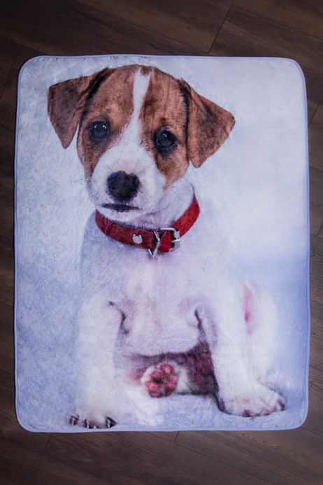 Jack Russell Terrier  microflannel blanket image 2