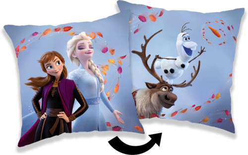 Frozen 02 "Wind 02" cushion