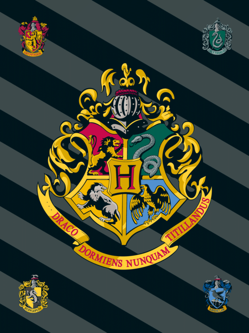 Harry Potter "HP067"  fleece blanket