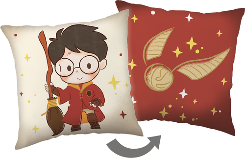 Harry Potter "Seeker" cushion