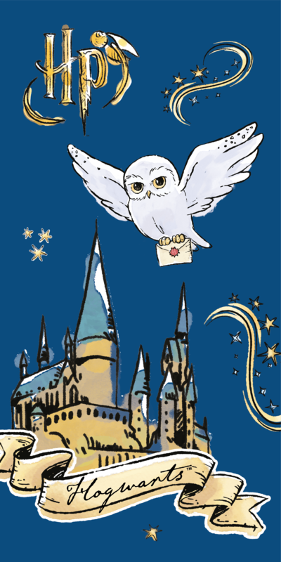Harry Potter "Magic owl" beach towel