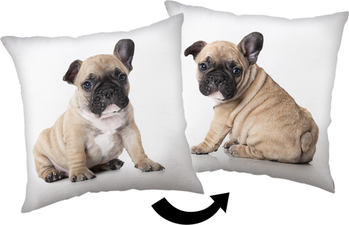 Bulldog polštářek