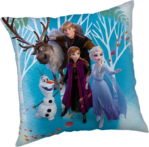 Frozen 02 "Family" cushion