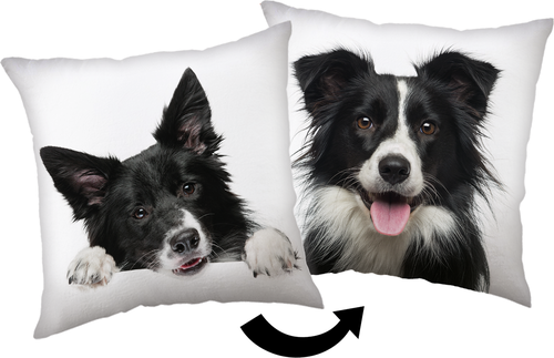 Border kolie polštářek