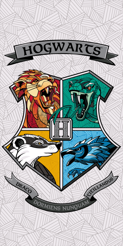Harry Potter "Stand together" osuška