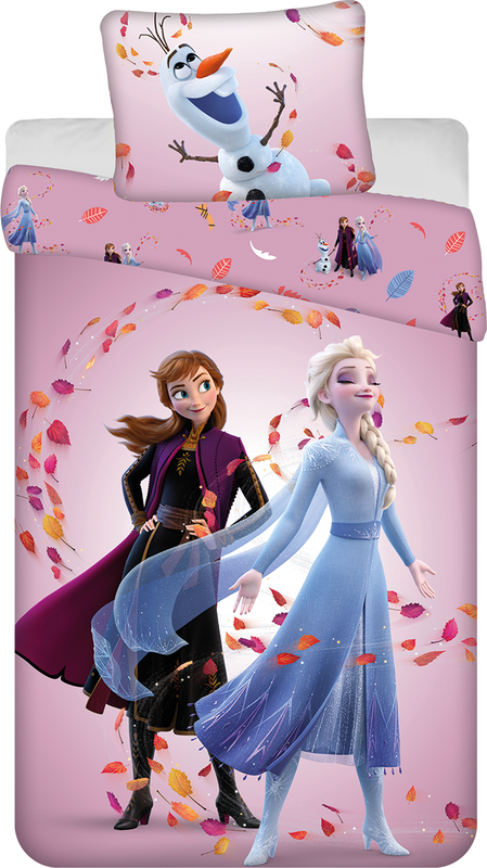 Frozen "Magical time" 50x70