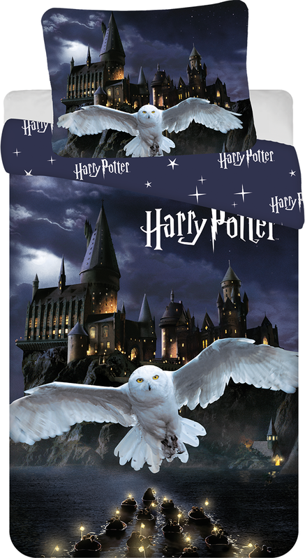 Harry Potter "Hogwarts Night" micro