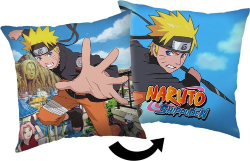 Naruto 02 cushion