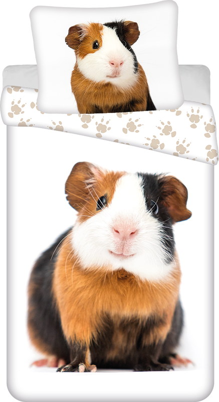 Guinea-pig "02"