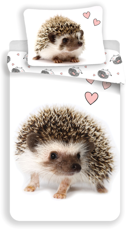 Hedgehog