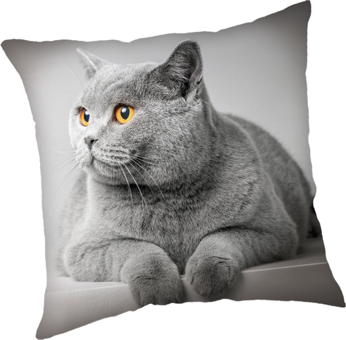 Grey Cat povlak na polštářek